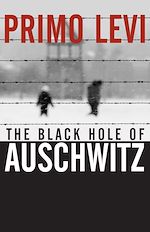 Télécharger le livre :  The Black Hole of Auschwitz