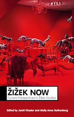 Télécharger le livre :  Zizek Now