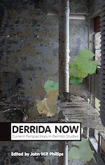 Télécharger le livre :  Derrida Now