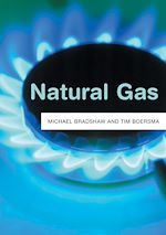 Download this eBook Natural Gas