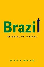 Download this eBook Brazil
