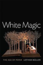 Download this eBook White Magic