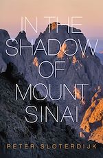 Download this eBook In The Shadow of Mount Sinai