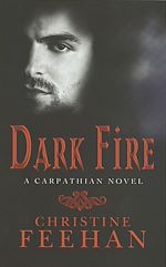 Télécharger le livre :  Dark Fire