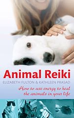 Download this eBook Animal Reiki