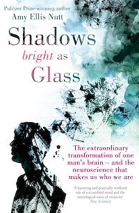 Téléchargez le livre :  Shadows Bright as Glass