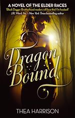 Télécharger le livre :  Dragon Bound