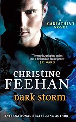 Télécharger le livre :  Dark Storm