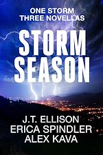 Télécharger le livre :  Storm Season