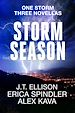 Télécharger le livre :  Storm Season