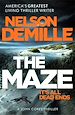 Télécharger le livre :  The Maze