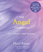 Télécharger le livre :  The Angel Experience
