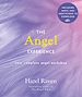 Télécharger le livre :  The Angel Experience