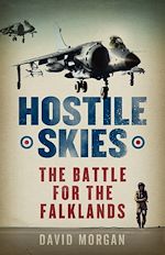 Download this eBook Hostile Skies