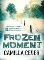 Download this eBook Frozen Moment