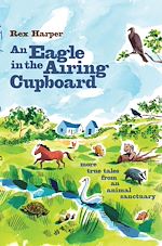 Télécharger le livre :  An Eagle in the Airing Cupboard