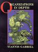 Télécharger le livre :  Organizations in Depth