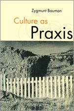 Télécharger le livre :  Culture as Praxis