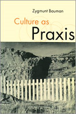 Télécharger le livre :  Culture as Praxis