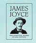 Télécharger le livre :  James Joyce