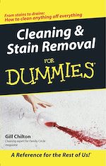 Télécharger le livre :  Cleaning and Stain Removal for Dummies