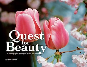 Download the eBook: Quest for Beauty
