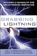 Télécharger le livre :  Grabbing Lightning