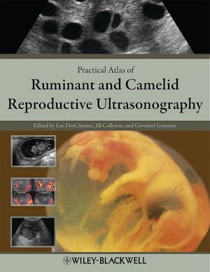 Téléchargez le livre :  Practical Atlas of Ruminant and Camelid Reproductive Ultrasonography