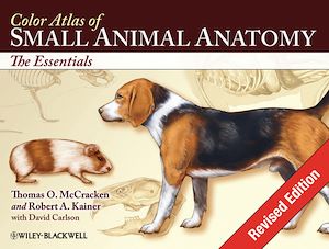 Download the eBook: Color Atlas of Small Animal Anatomy