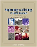 Télécharger le livre :  Nephrology and Urology of Small Animals
