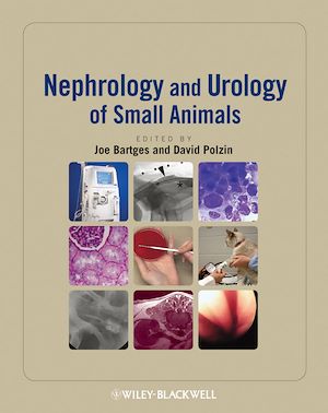 Téléchargez le livre :  Nephrology and Urology of Small Animals