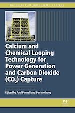 Télécharger le livre :  Calcium and Chemical Looping Technology for Power Generation and Carbon Dioxide (CO2) Capture