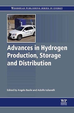 Download the eBook: Advances in Hydrogen Production, Storage and Distribution