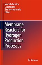 Télécharger le livre :  Membrane Reactors for Hydrogen Production Processes