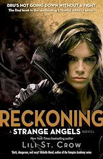 Télécharger le livre :  Reckoning