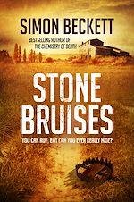 Download this eBook Stone Bruises