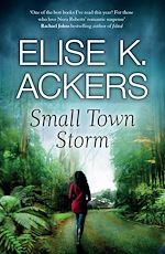 Download this eBook Small Town Storm