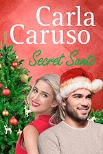 Télécharger le livre :  Secret Santo