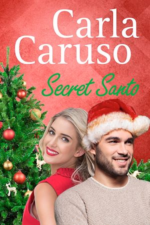 Téléchargez le livre :  Secret Santo