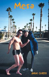 Téléchargez le livre :  Mesa