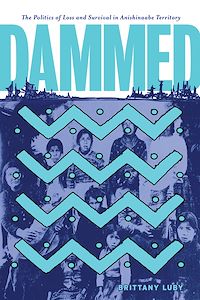 Téléchargez le livre :  Dammed