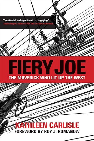 Téléchargez le livre :  Fiery Joe