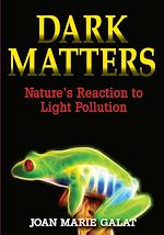 Download this eBook Dark Matters