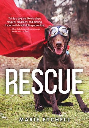 Download the eBook: Rescue