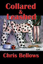 Télécharger le livre :  Collared & Leashed