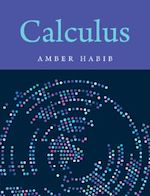 Download this eBook Calculus