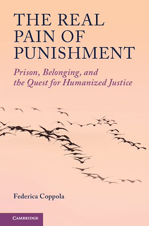 Download the eBook: The Real Pain of Punishment