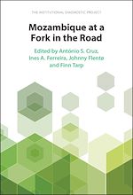 Download this eBook Mozambique at a Fork in the Road