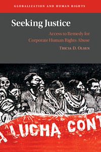 Téléchargez le livre :  Seeking Justice