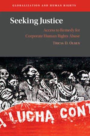 Téléchargez le livre :  Seeking Justice